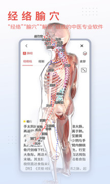 3Dbody解剖截图