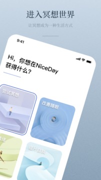 NiceDay截图