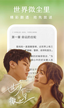 爱奇艺小说