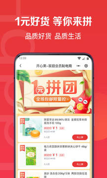 开心果