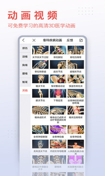 3Dbody解剖