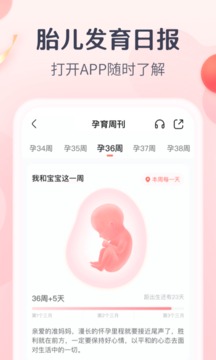 宝宝树孕育