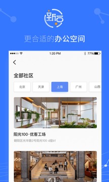 新豆