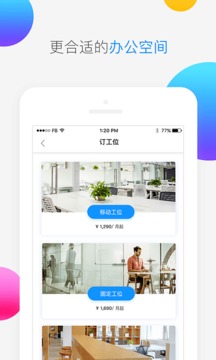 新豆