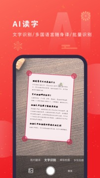猫图鹰
