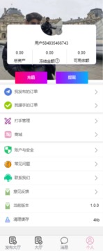 专业代