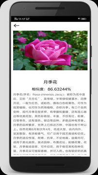 拍照识图君