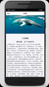 拍照识图君