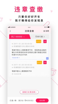 女车主