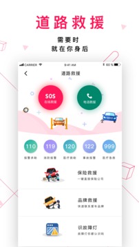 女车主