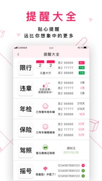 女车主