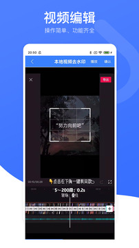 视频去水印专家
