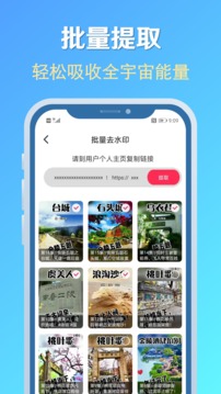素材去水印