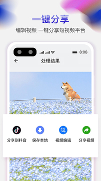 天天去水印