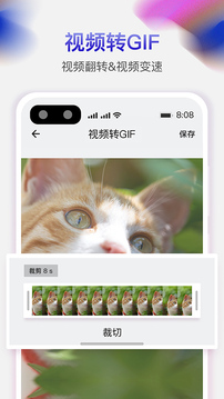 天天去水印