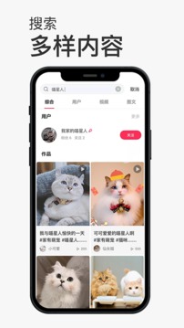 小宠书
