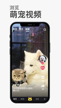 小宠书