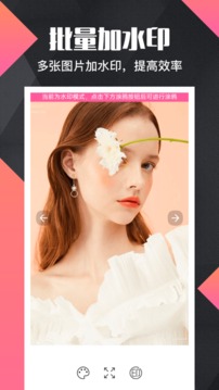 拼图去水印pro