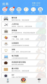 龙易