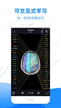 影像解剖图谱