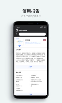 全球天眼