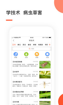 小农人