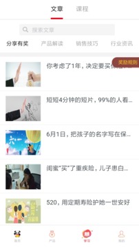 熊猫保保