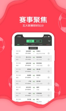 聚料