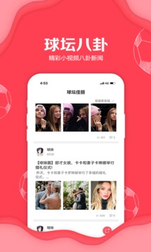 聚料