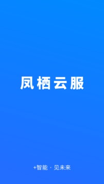 凤栖云服