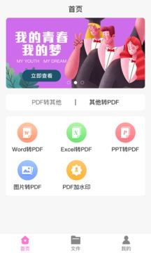 PDF格式大师