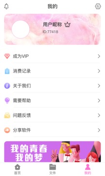 PDF格式大师