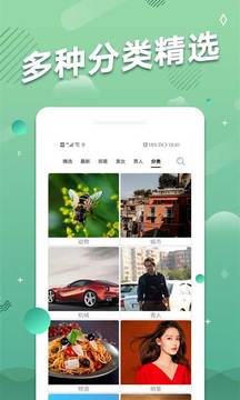 手机动态壁纸