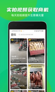 豆牛