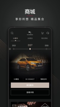 DS 汽车