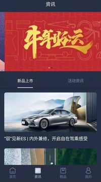 Lexus Accessory