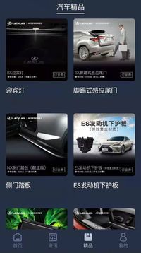 Lexus Accessory