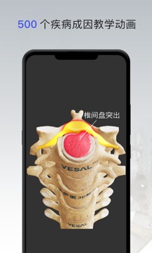 骨科专家