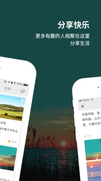 图图点赞