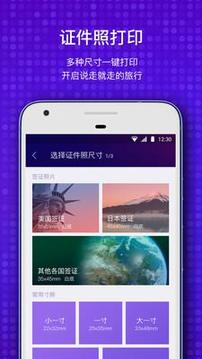 极印