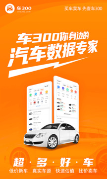 车300二手车