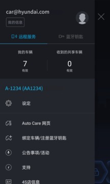 Bluelink