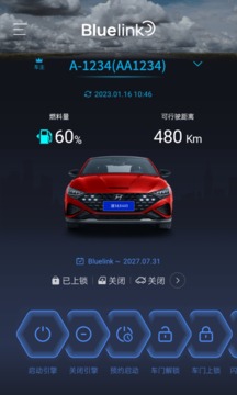 Bluelink