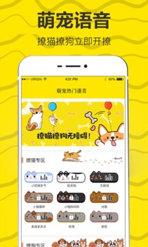 猫语翻译