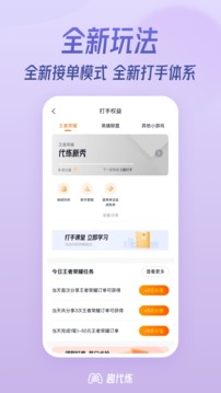 趣代练打手版