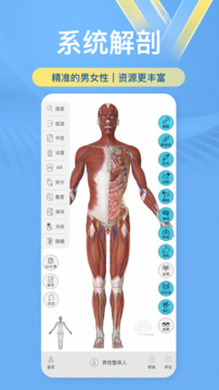 维萨里3D解剖
