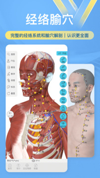 维萨里3D解剖