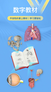 维萨里3D解剖