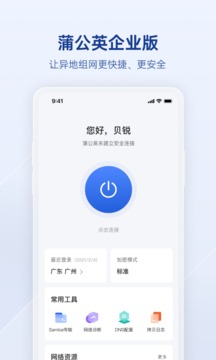 贝锐蒲公英企业版
