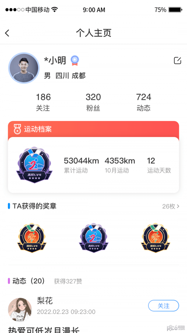 川体引体向上